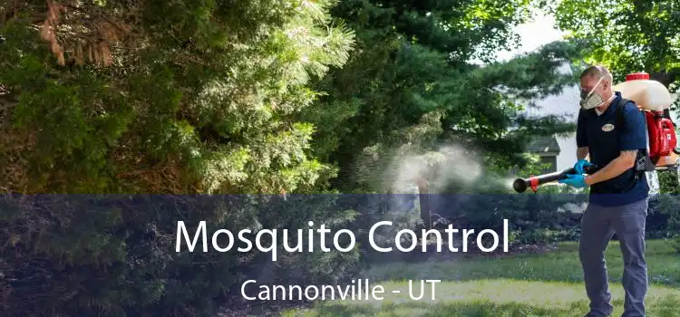  Mosquito Control Cannonville - UT