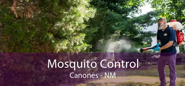 Mosquito Control Canones - NM