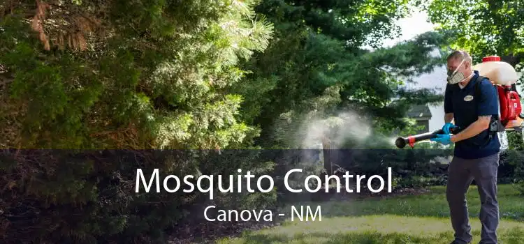 Mosquito Control Canova - NM