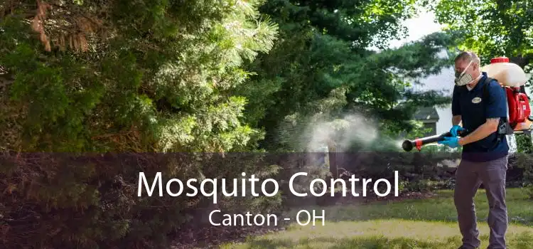 Mosquito Control Canton - OH