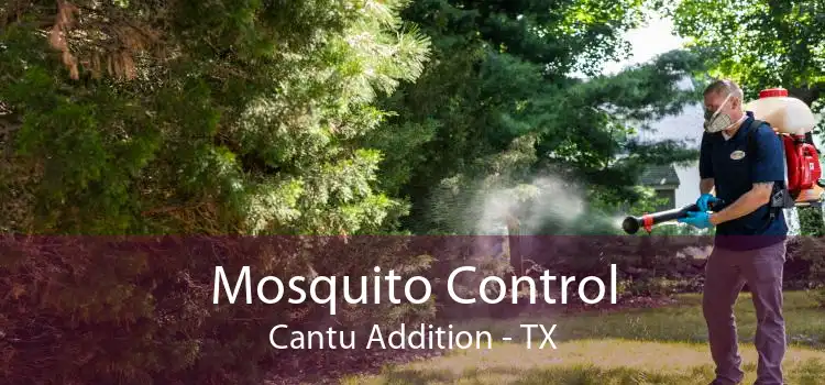 Mosquito Control Cantu Addition - TX