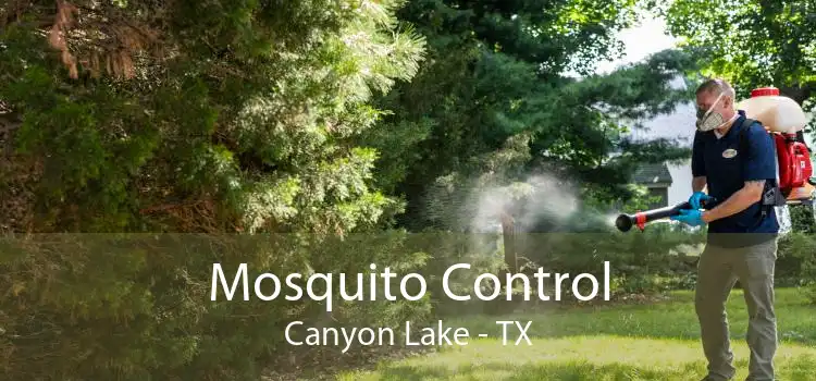 Mosquito Control Canyon Lake - TX