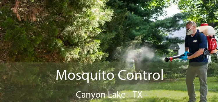  Mosquito Control Canyon Lake - TX