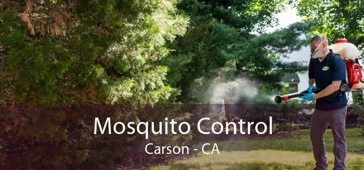 Mosquito Control Carson - CA