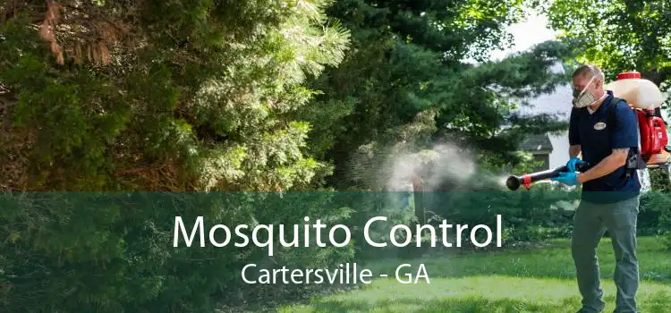 Mosquito Control Cartersville - GA