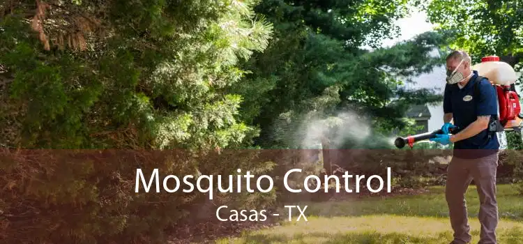 Mosquito Control Casas - TX