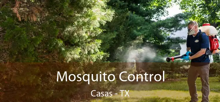  Mosquito Control Casas - TX