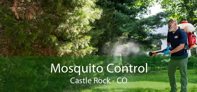 Mosquito Control Castle Rock - CO