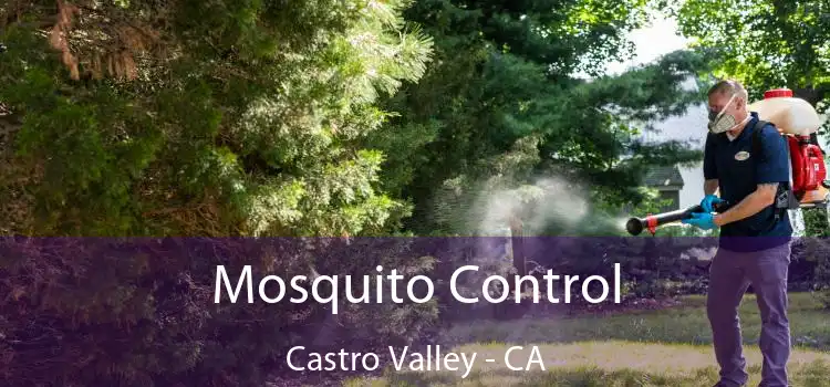  Mosquito Control Castro Valley - CA