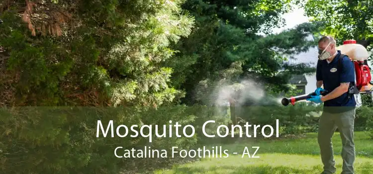 Mosquito Control Catalina Foothills - AZ