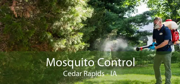 Mosquito Control Cedar Rapids - IA