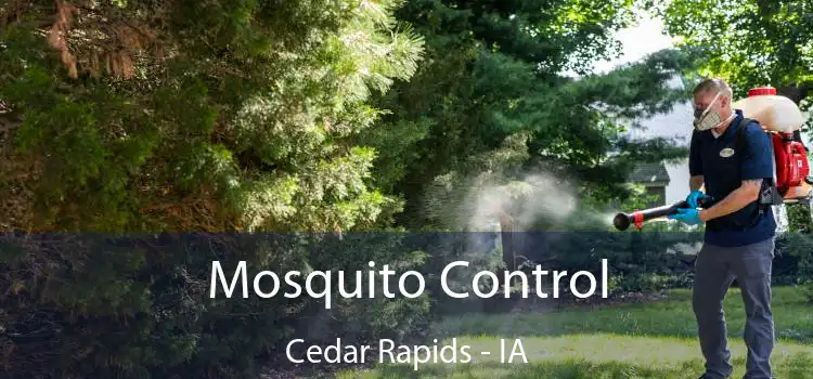  Mosquito Control Cedar Rapids - IA