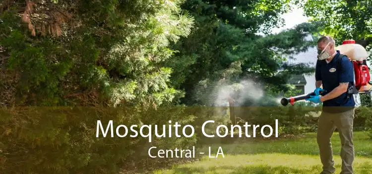 Mosquito Control Central - LA