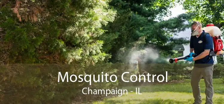 Mosquito Control Champaign - IL