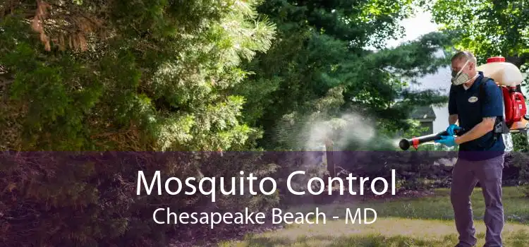 Mosquito Control Chesapeake Beach - MD