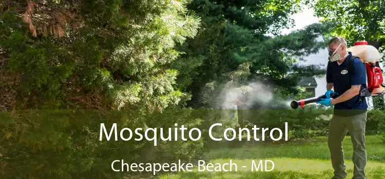  Mosquito Control Chesapeake Beach - MD