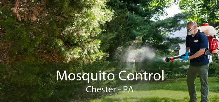 Mosquito Control Chester - PA