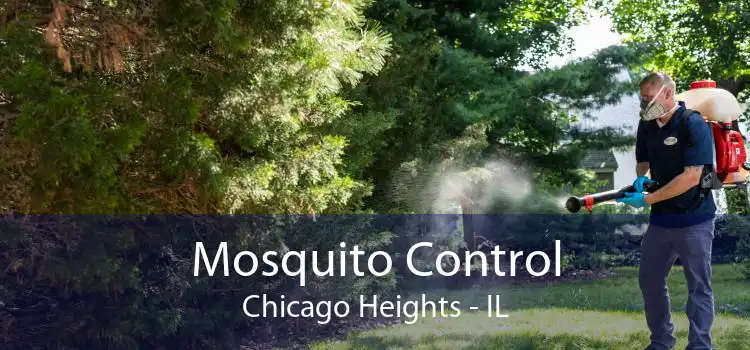 Mosquito Control Chicago Heights - IL
