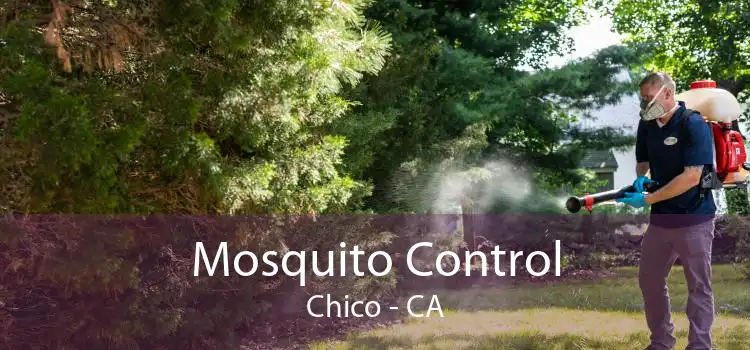 Mosquito Control Chico - CA