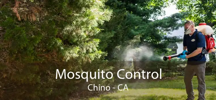 Mosquito Control Chino - CA