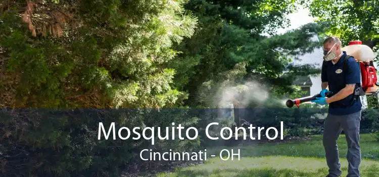 Mosquito Control Cincinnati - OH
