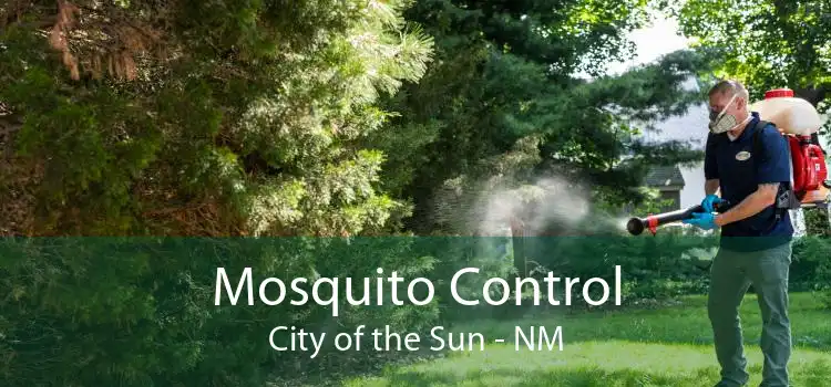 Mosquito Control City of the Sun - NM