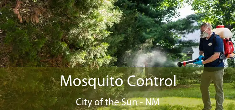  Mosquito Control City of the Sun - NM