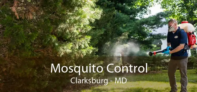 Mosquito Control Clarksburg - MD