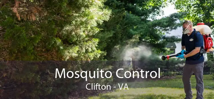 Mosquito Control Clifton - VA