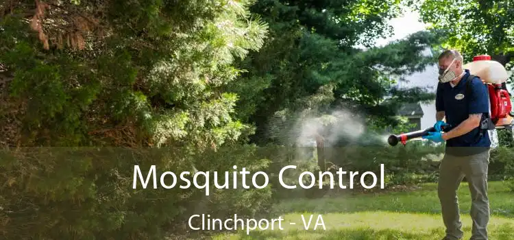  Mosquito Control Clinchport - VA