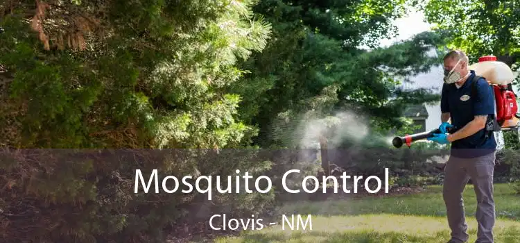  Mosquito Control Clovis - NM