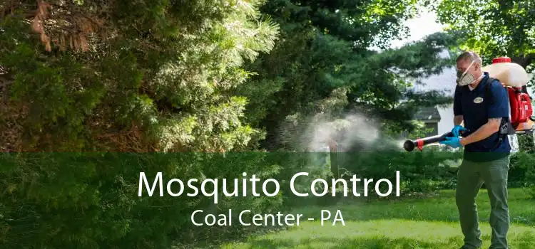 Mosquito Control Coal Center - PA
