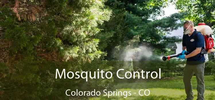  Mosquito Control Colorado Springs - CO