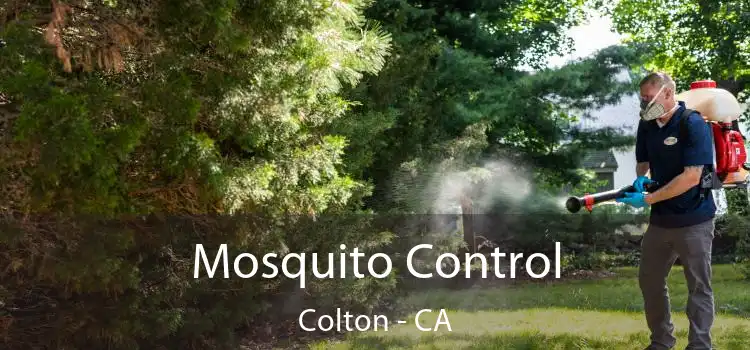  Mosquito Control Colton - CA