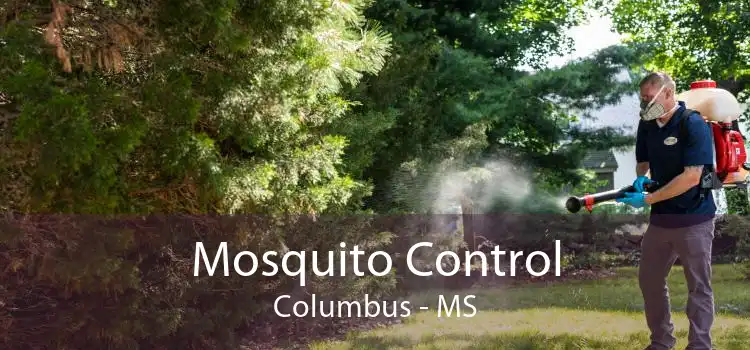 Mosquito Control Columbus - MS