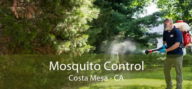 Mosquito Control Costa Mesa - CA
