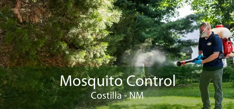 Mosquito Control Costilla - NM