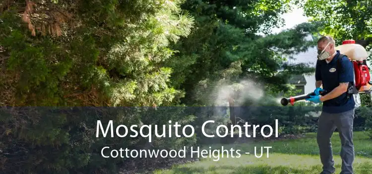Mosquito Control Cottonwood Heights - UT