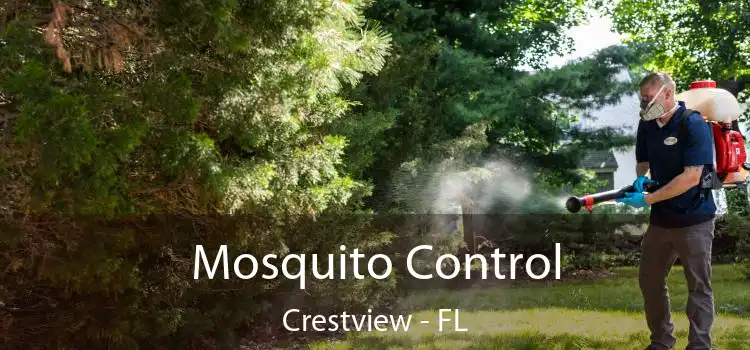  Mosquito Control Crestview - FL