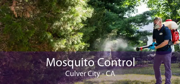 Mosquito Control Culver City - CA