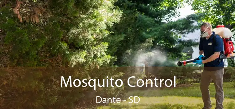  Mosquito Control Dante - SD