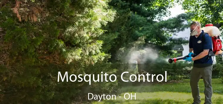  Mosquito Control Dayton - OH