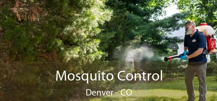  Mosquito Control Denver - CO