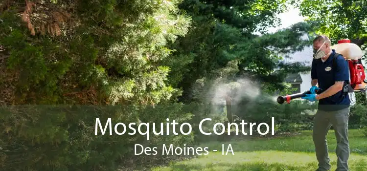 Mosquito Control Des Moines - IA