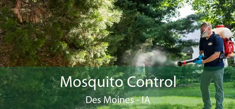 Mosquito Control Des Moines - IA