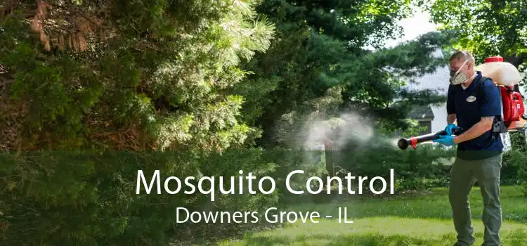 Mosquito Control Downers Grove - IL