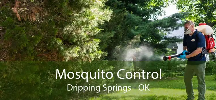 Mosquito Control Dripping Springs - OK