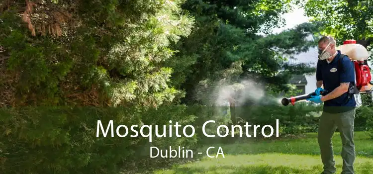 Mosquito Control Dublin - CA