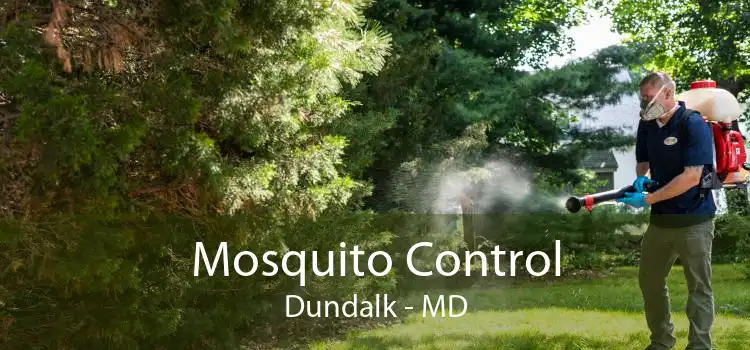 Mosquito Control Dundalk - MD