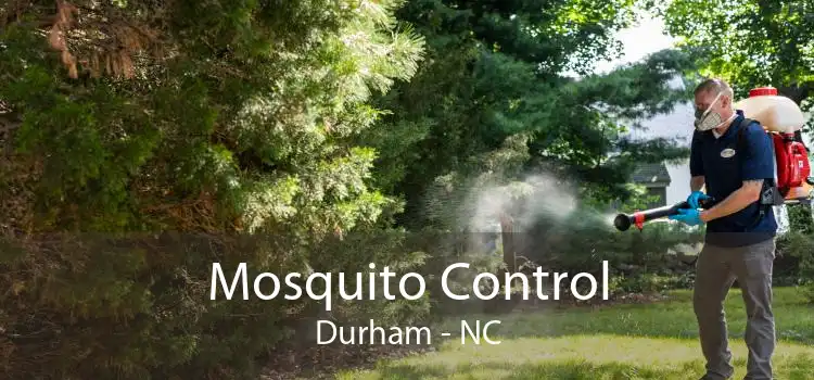 Mosquito Control Durham - NC